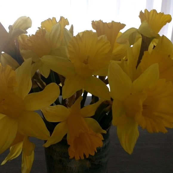 Meet your Posher, Summer - Picture 1 of 1